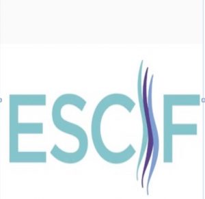 Logo ESCIF